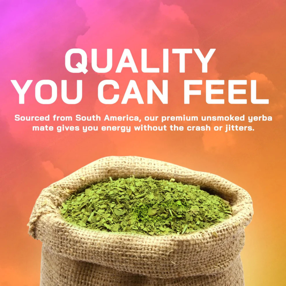Yerba Mate Capsules