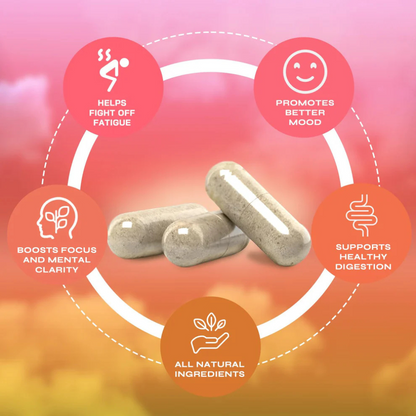 Yerba Mate Capsules